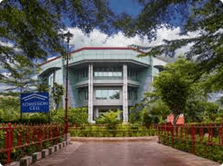 Library and study resources for focused academic work