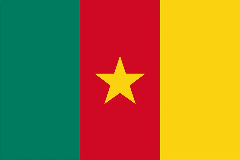 Cameroon flag